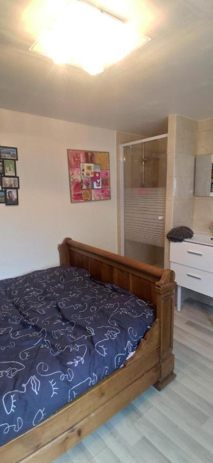 Petit Logement Sur Jardin Apartment แซ็ง-เตร์แบล็ง ภายนอก รูปภาพ